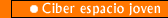 Ciber espacio joven