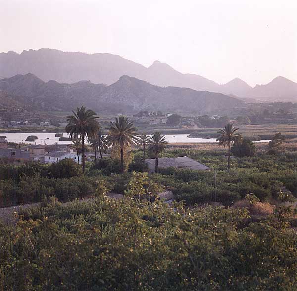 Huerta y pantano. Vista desde el Saque