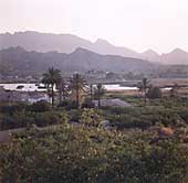 Huerta y pantano. Vista desde El Saque