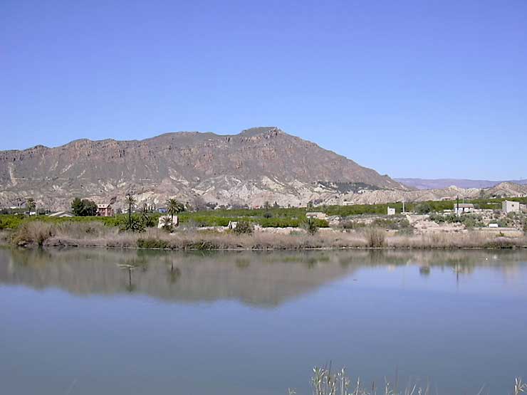 Casas de La Favorita y La Molineta