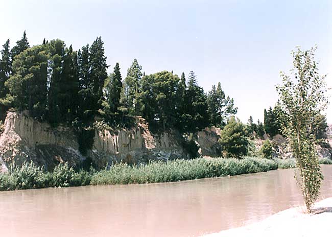 Vista desde la Avenida del Río Segura
