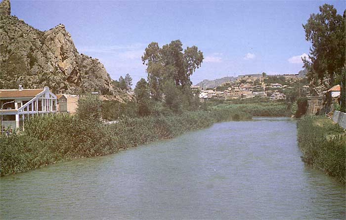 Vista desde el puente