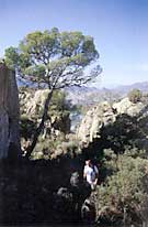 Senderismo en la sierra la Navela