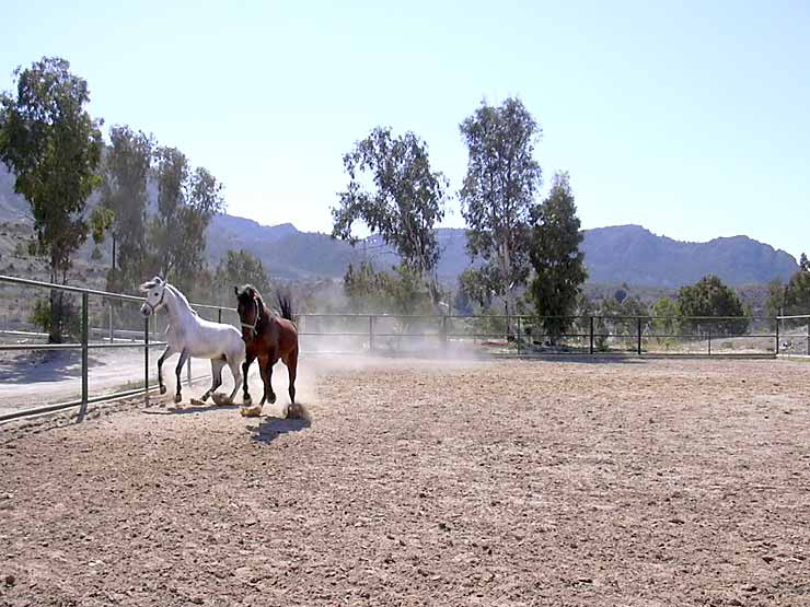 Pista de arena