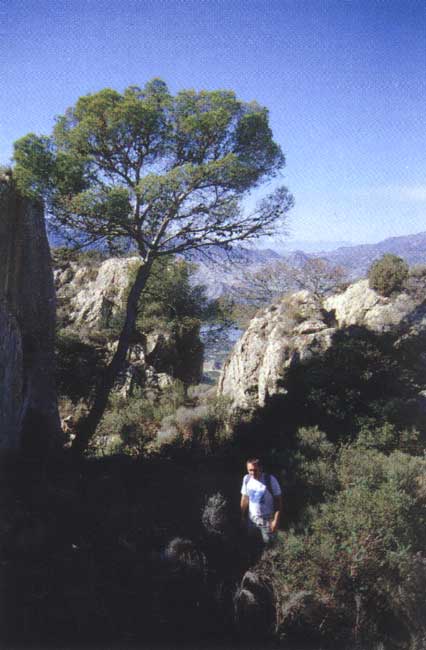 Antes de alcanzar la cumbre, se pasa por este pasillo de roca