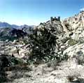 Vista desde la Peña Negra